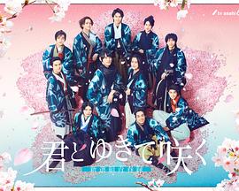 与你一起绽放～新选组青春录～免费观看