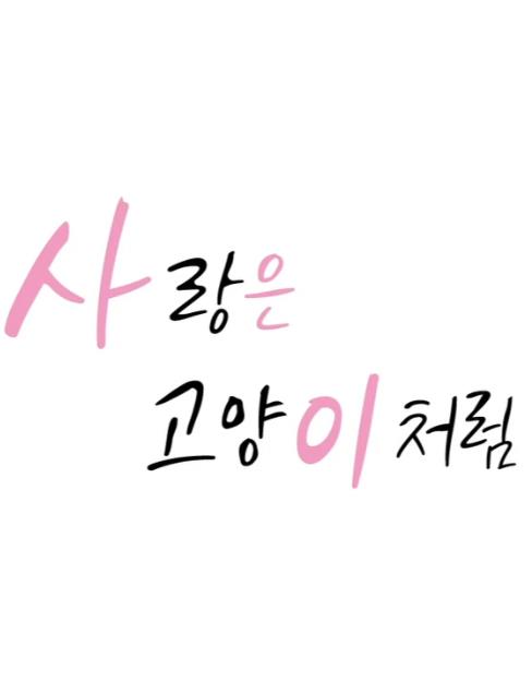 爱像一只喵免费观看