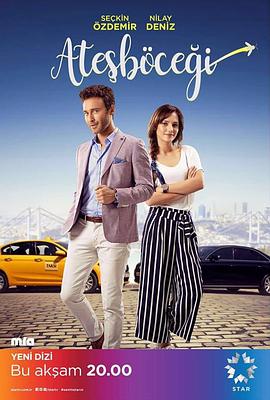 萤火虫2017免费观看